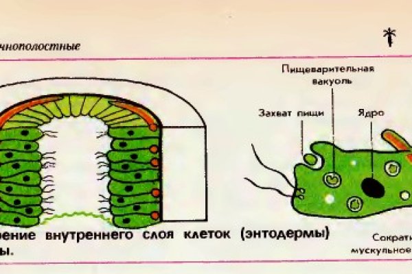 Kraken darknet market зеркало