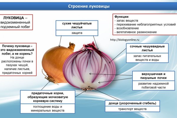 Кракен актуальная ссылка на сегодня