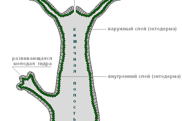 Ссылки в тор