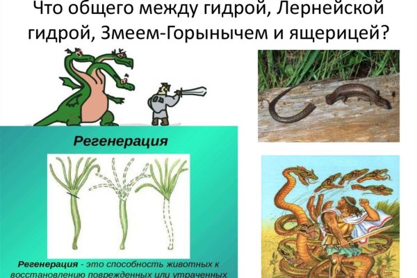 Кракен даркнет маркет ссылка тор
