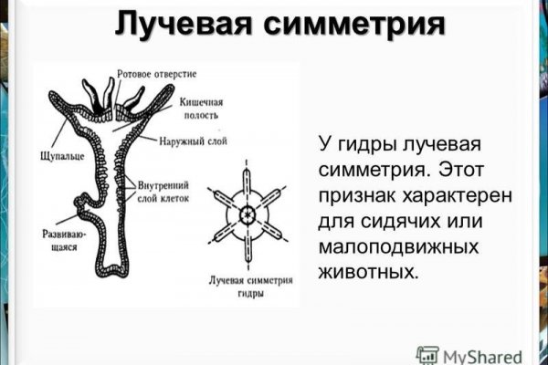 Кракен kr2connect co