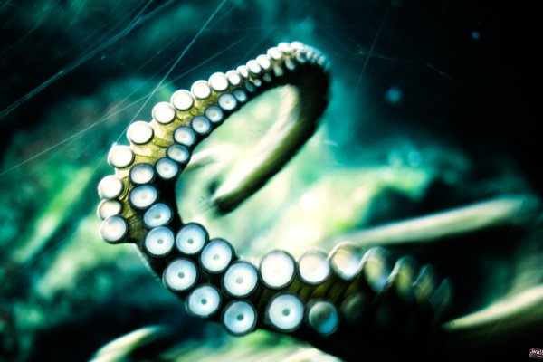 Kraken даркнет gigageek ru