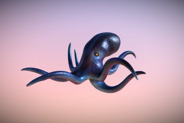Kraken 22 аt