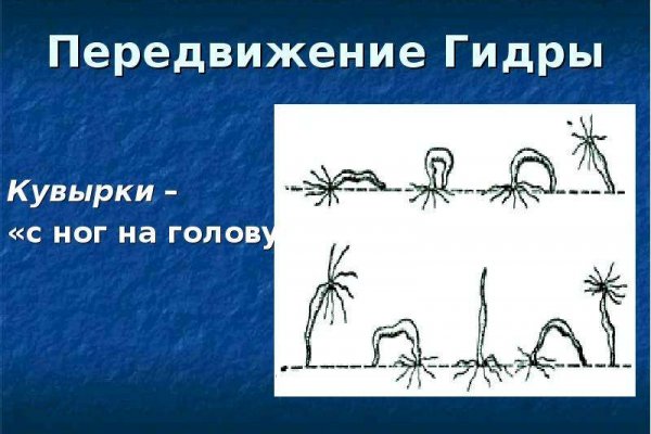 Актуальные ссылки кракен 2025