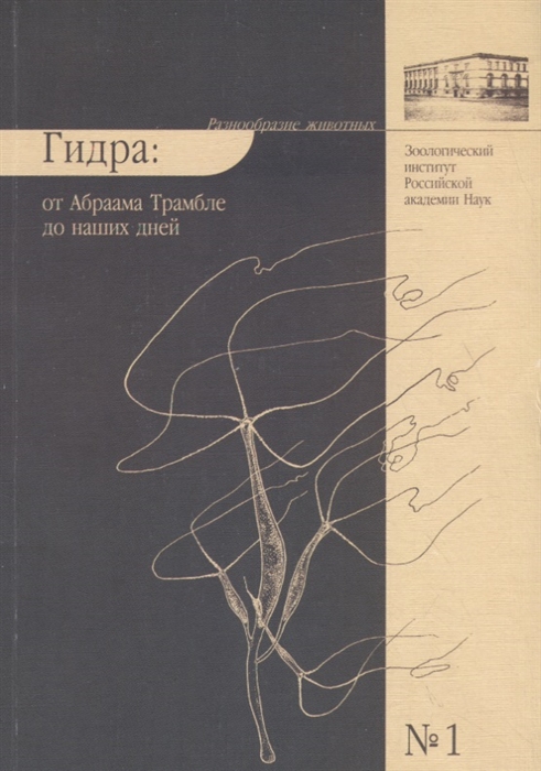 Kra35.at