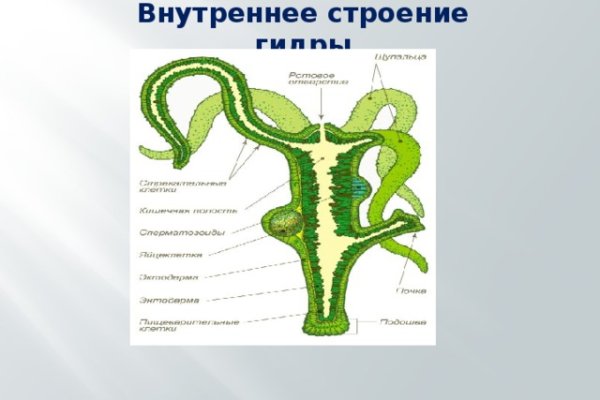 Kraken зеркало krakentor site