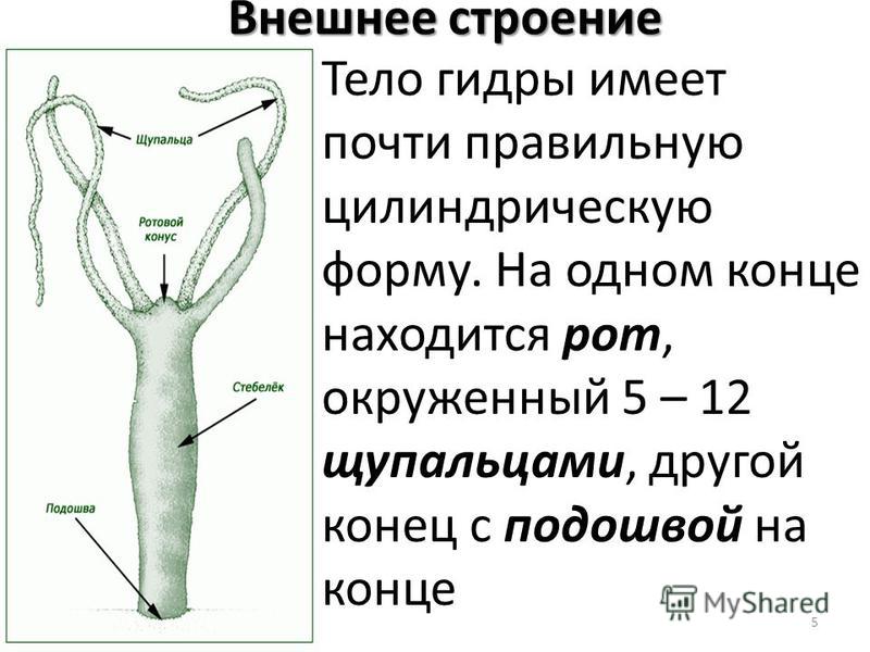 Кракен онион зеркало